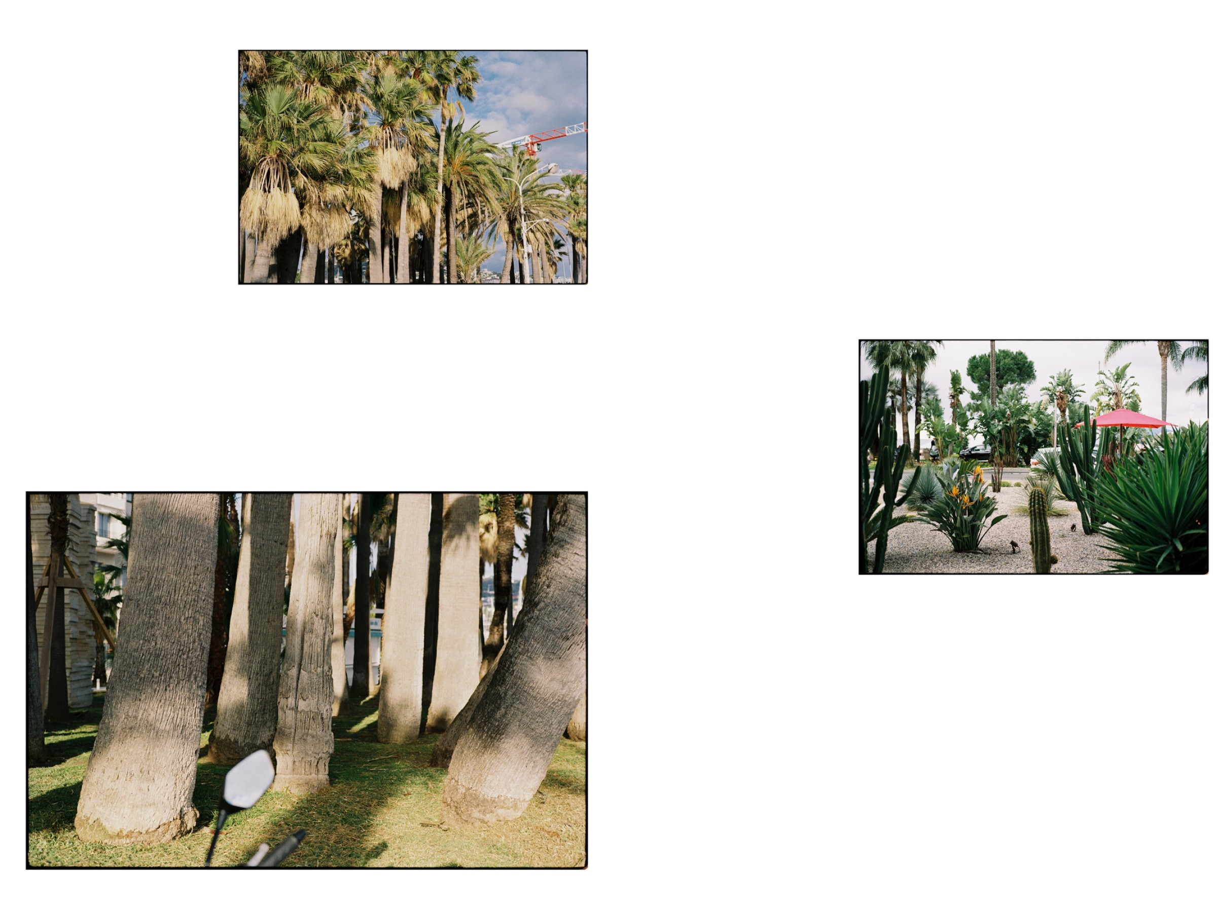 circusmipimus08