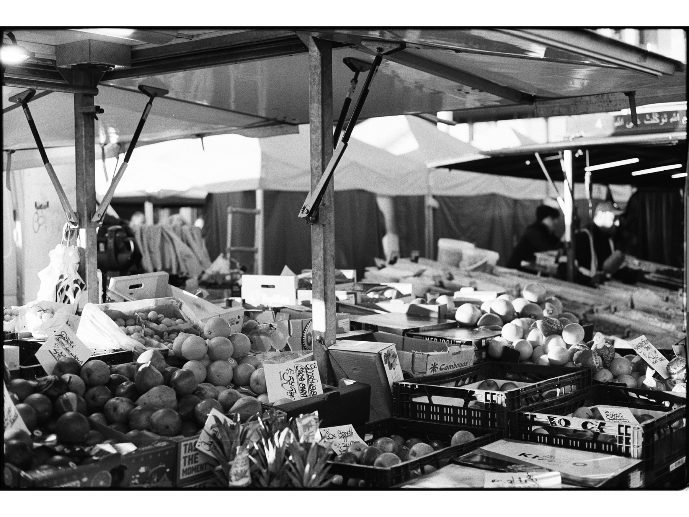 market26