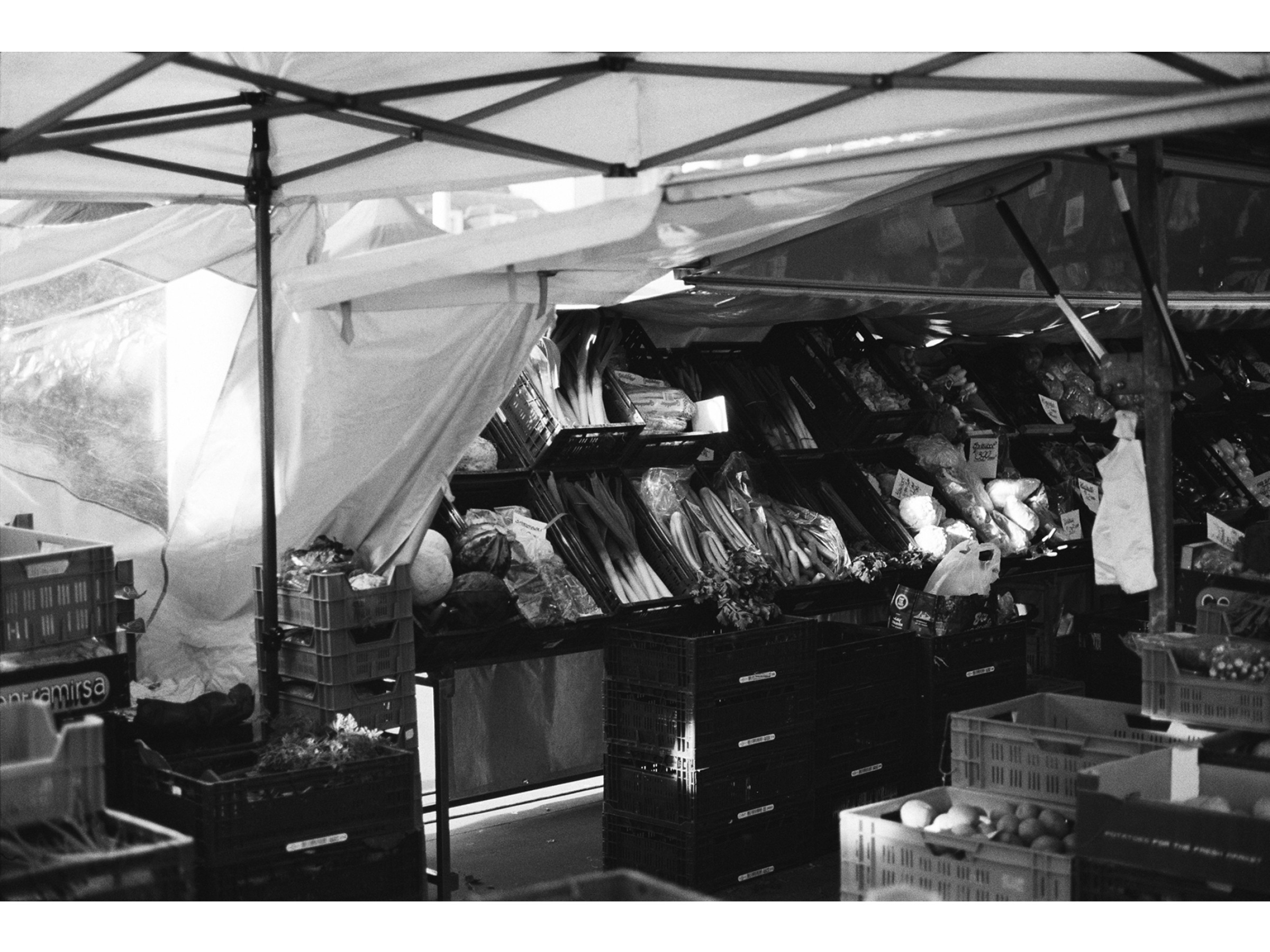 market14