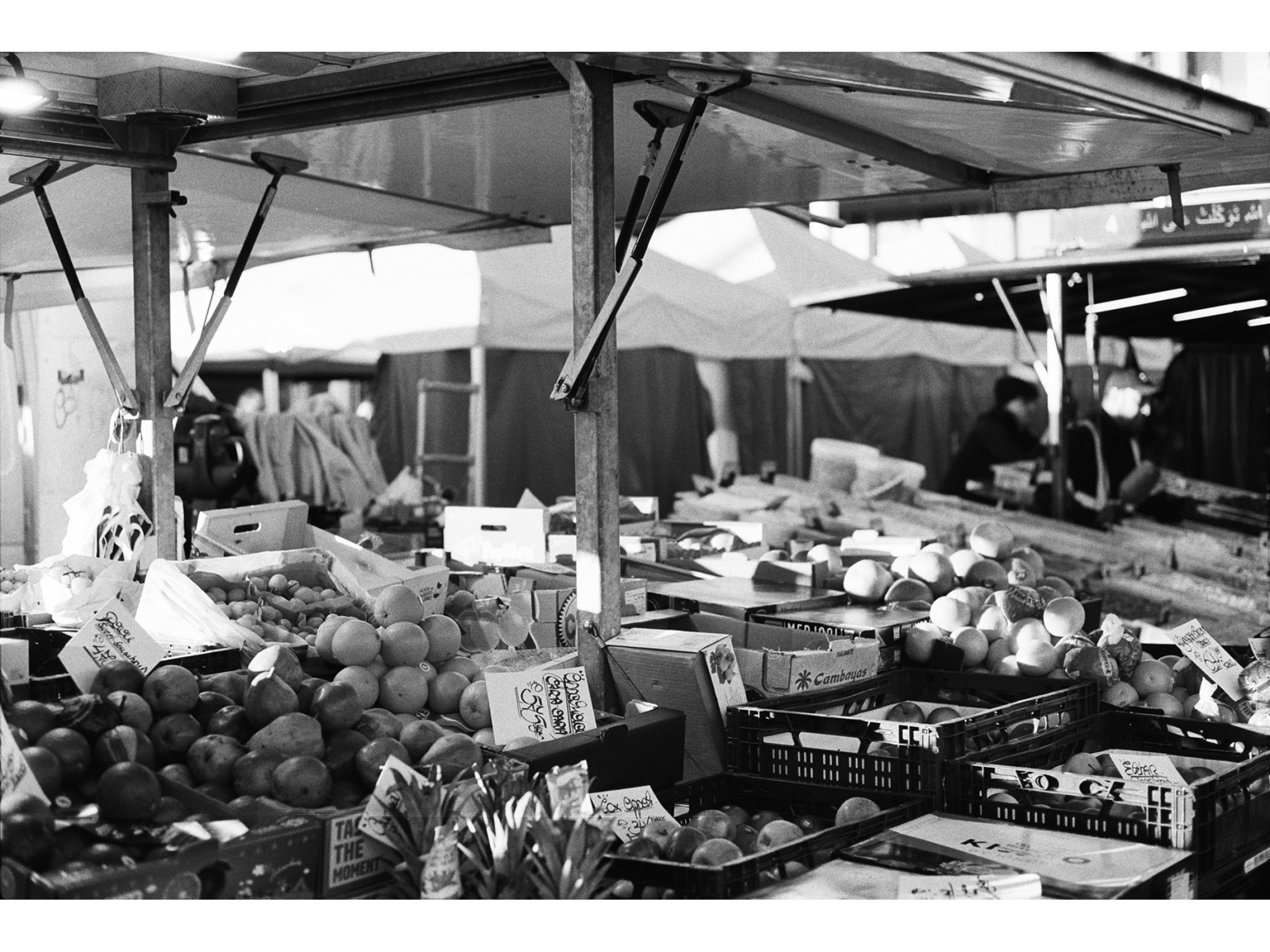 market26
