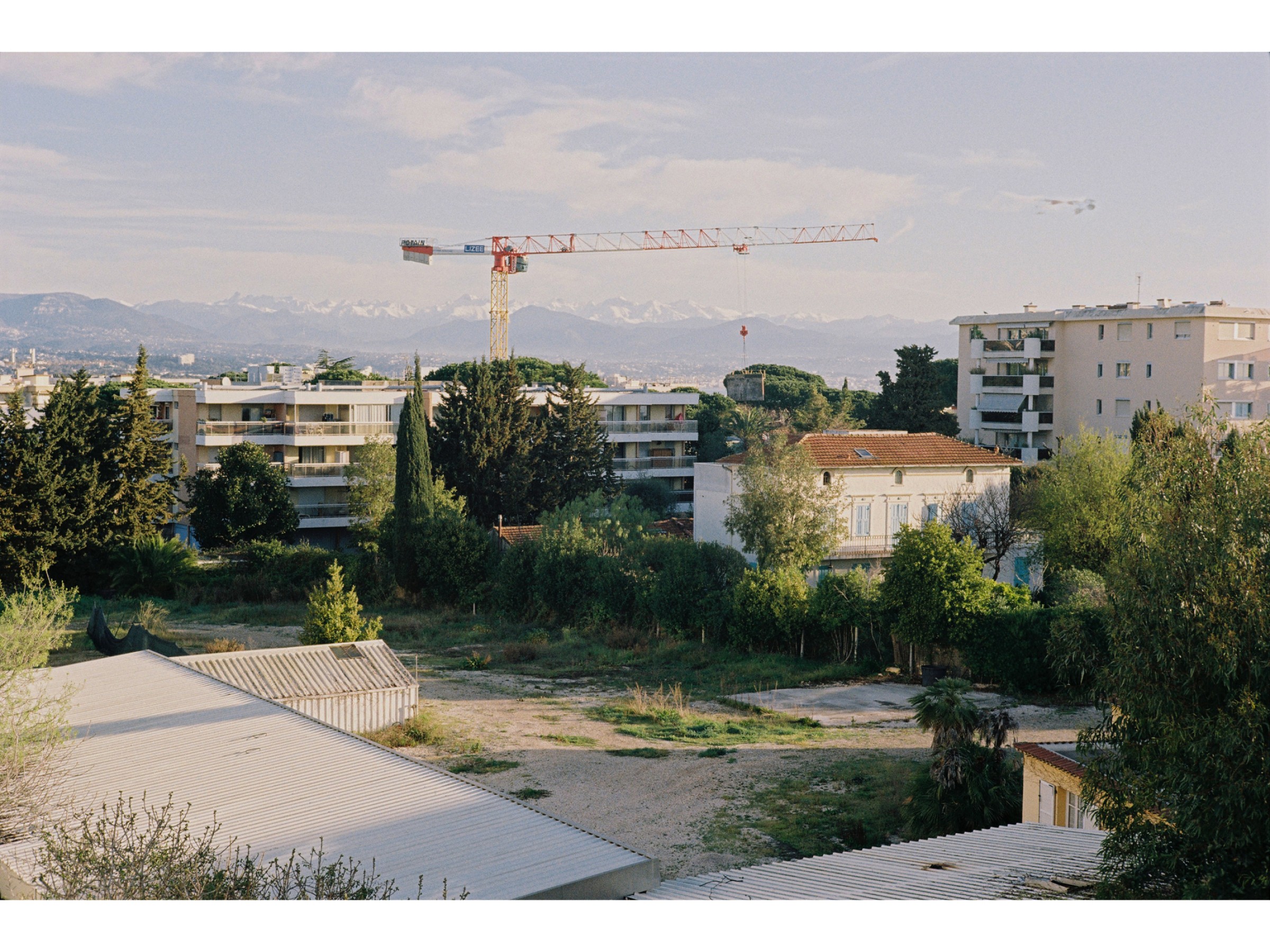 circusmipimus18